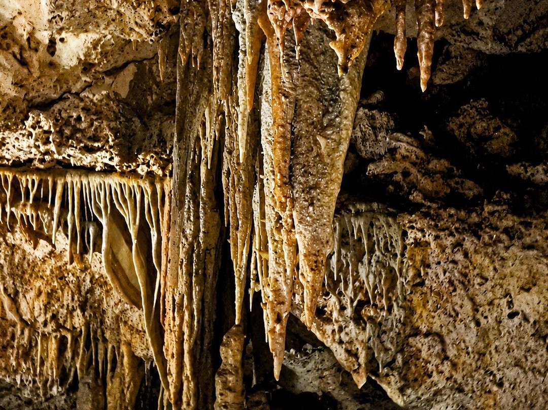 Go Caving Bonaire-Kralendijk必去景点