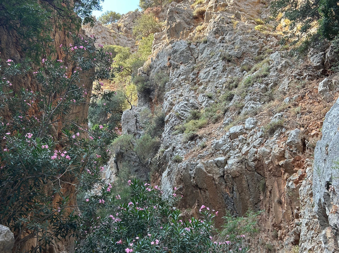 Kritsa Gorge-Kritsa必去景点