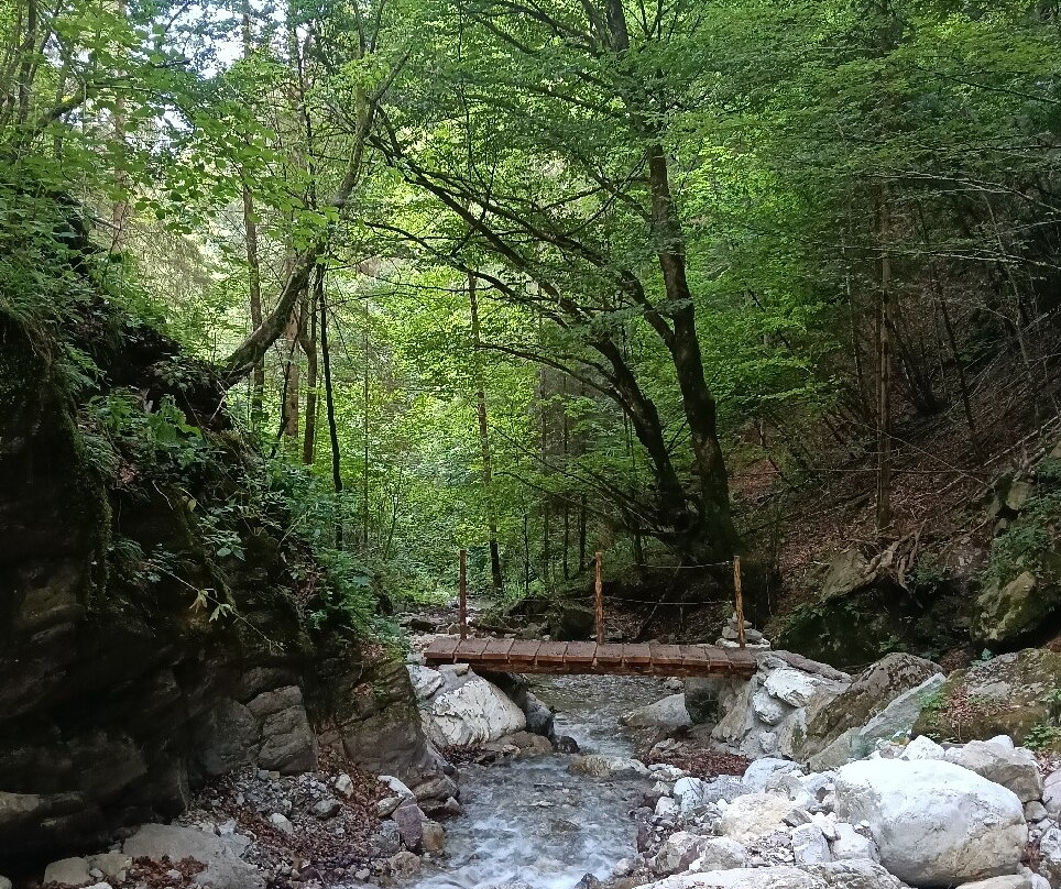 Cascata di Fuas-Prato Carnico必去景点