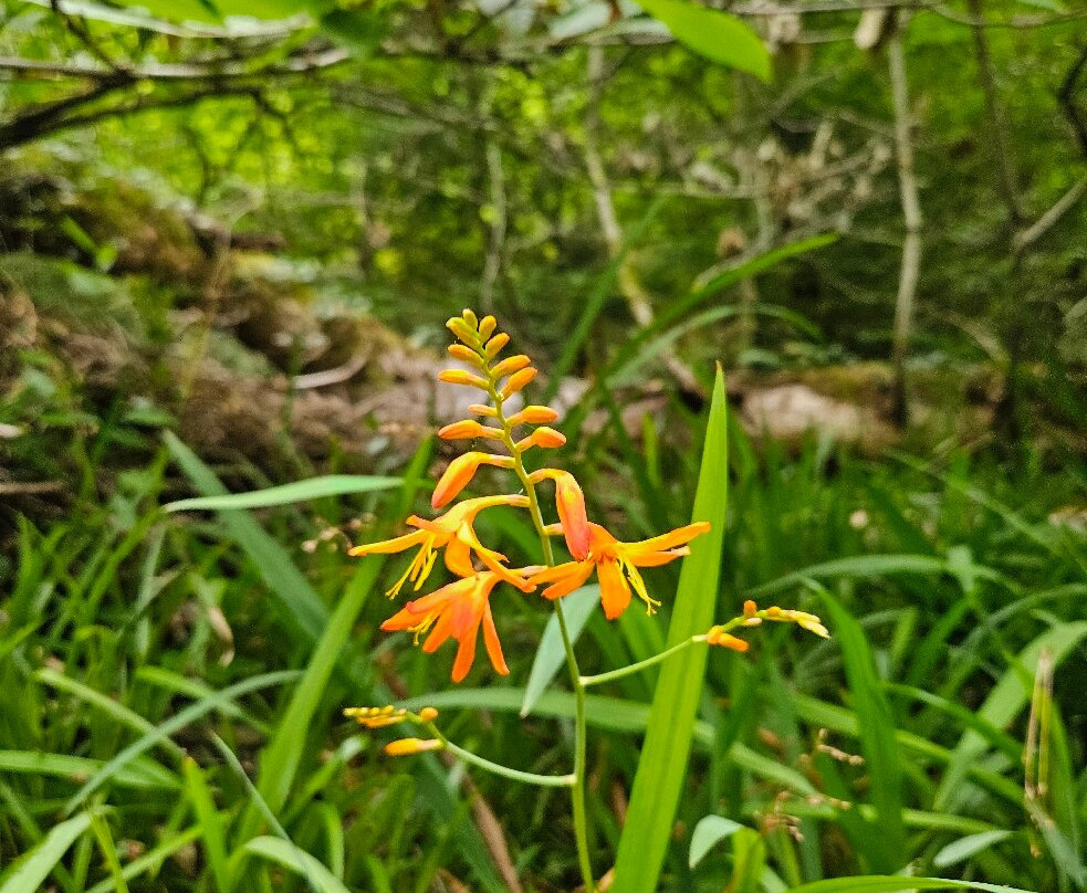 Fragas do Eume-Pontedeume必去景点