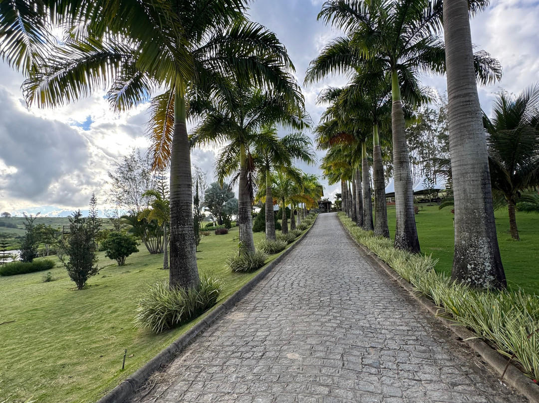 Vinícola Vale Das Colinas-Garanhuns必去景点
