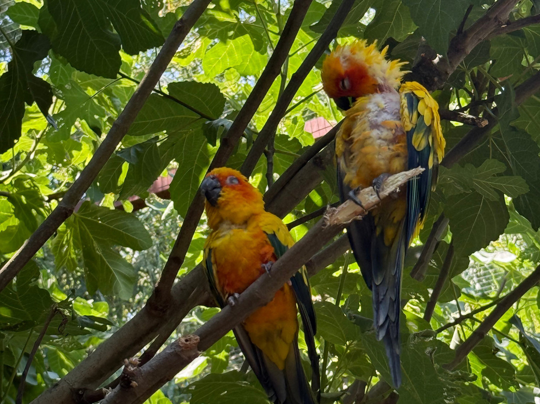 Parc Animalier Des Pyrénées-Ayzac-Ost必去景点