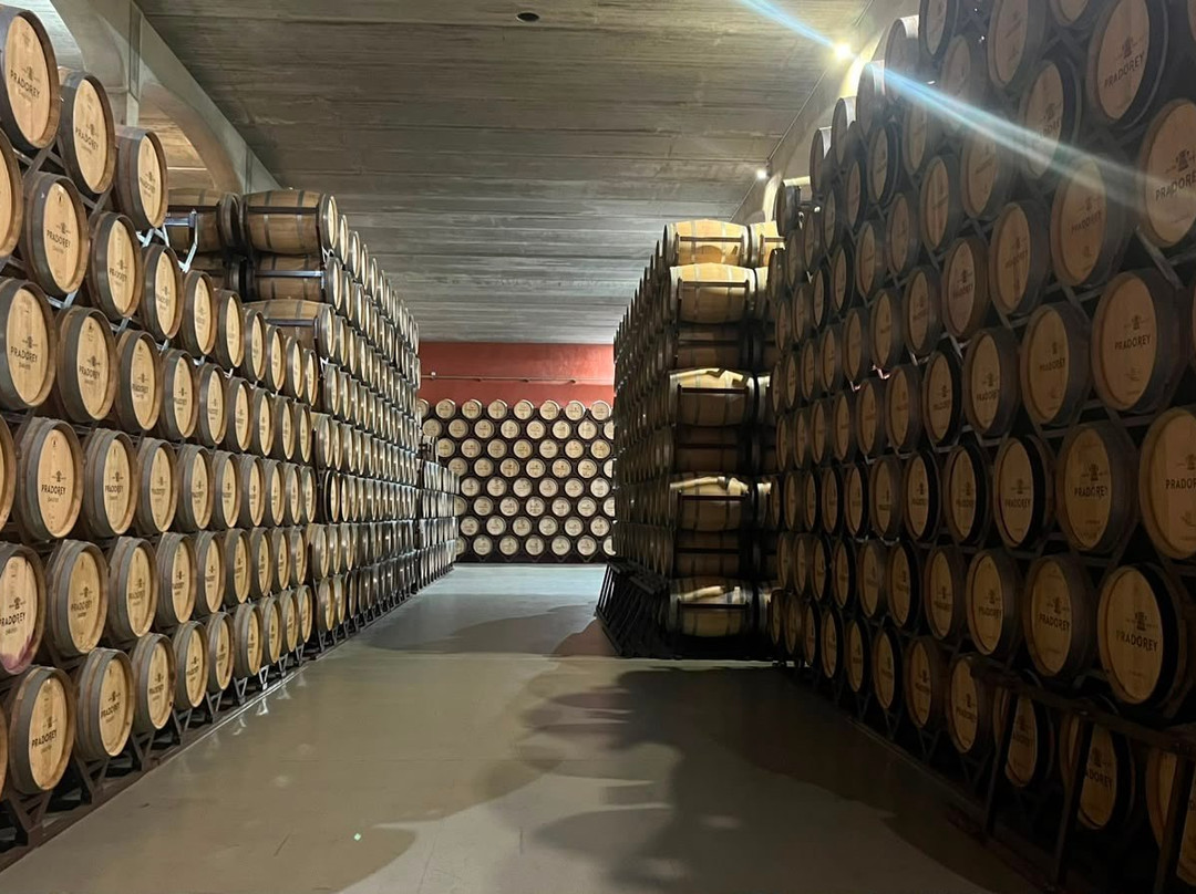 Bodegas Y Vinedos PradoRey-Gumiel Del Mercado必去景点