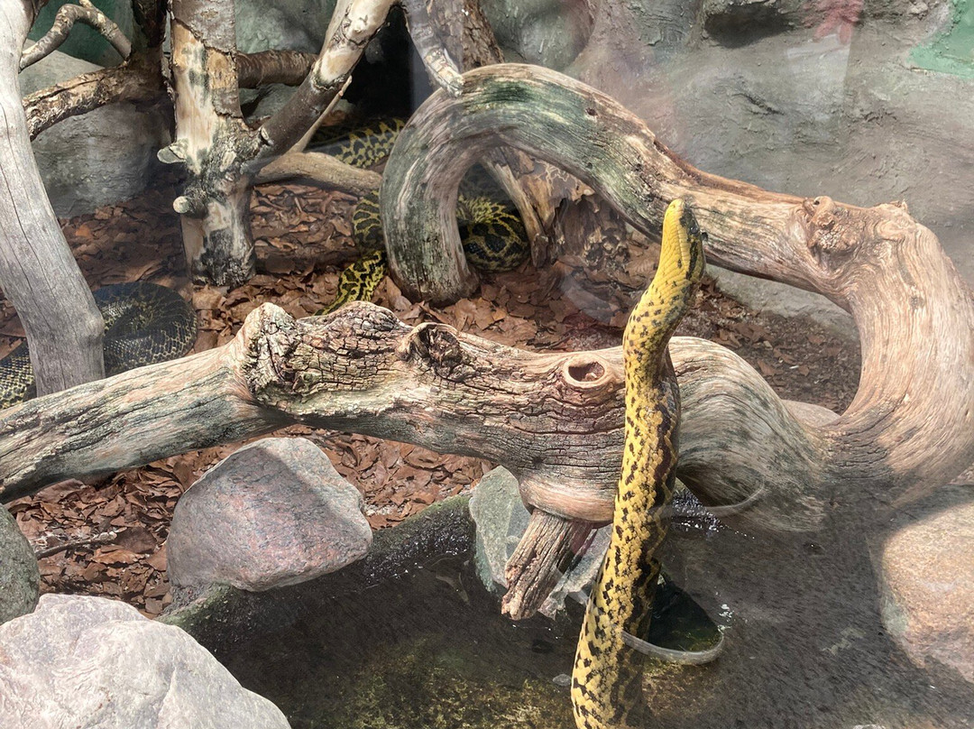 Malmo Reptile Center-马尔默必去景点
