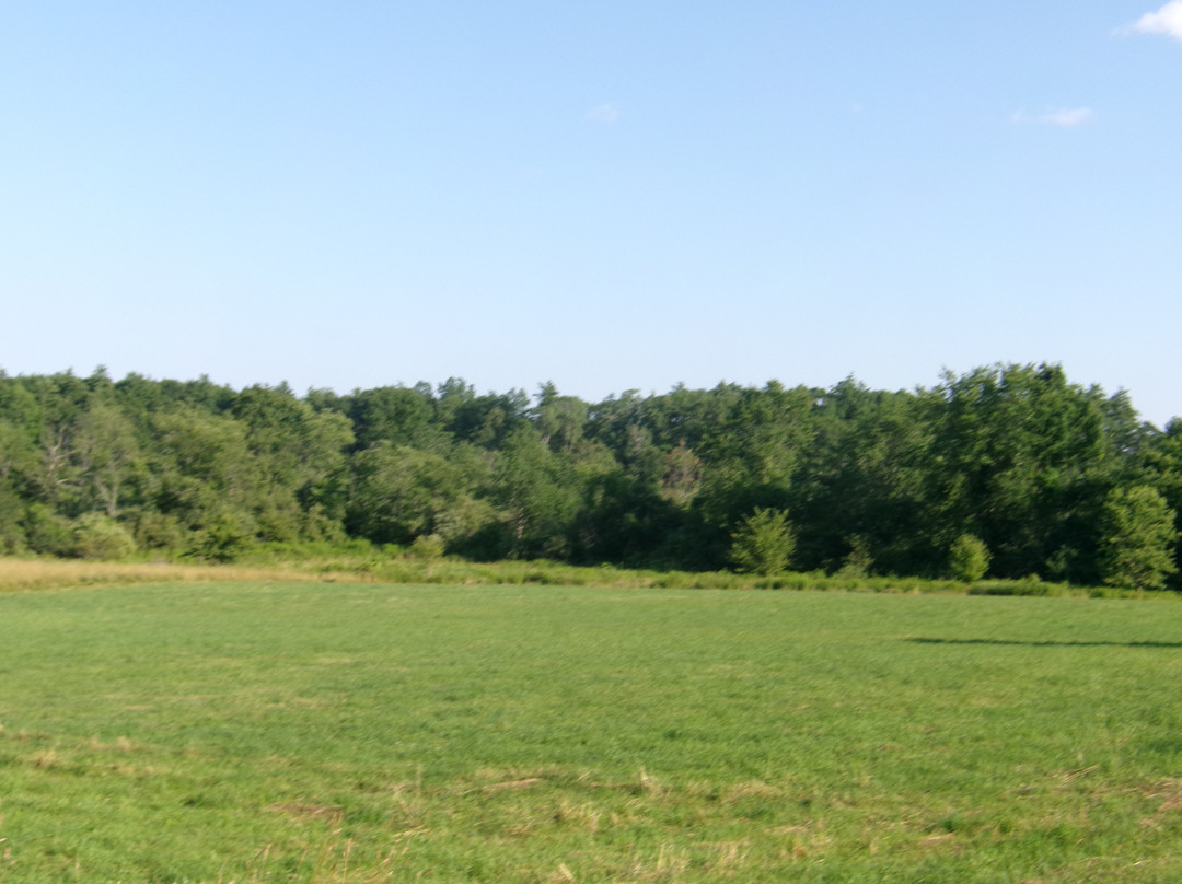 Bellamy River Wildlife Management Area-Dover必去景点