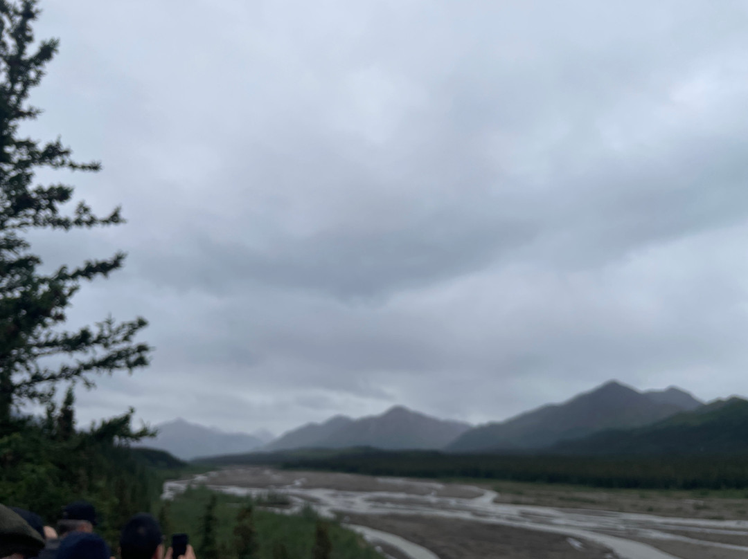 Tundra Wilderness Tour-Denali Park必去景点