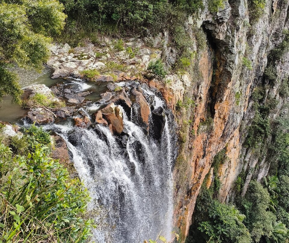 Purling Brook Falls-春之泉必去景点