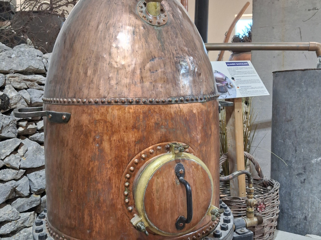 Maison de la Lavande - Domaine Lavandaïs-Saint-Remeze必去景点