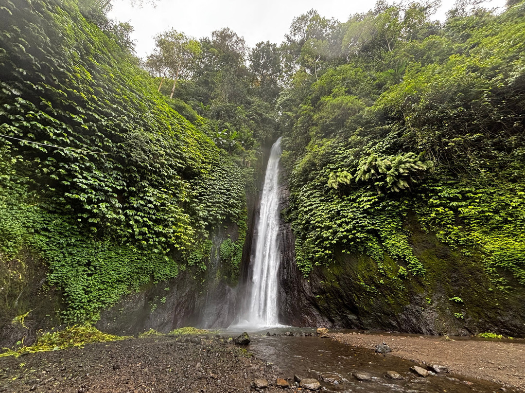 Bali Trekking Experience