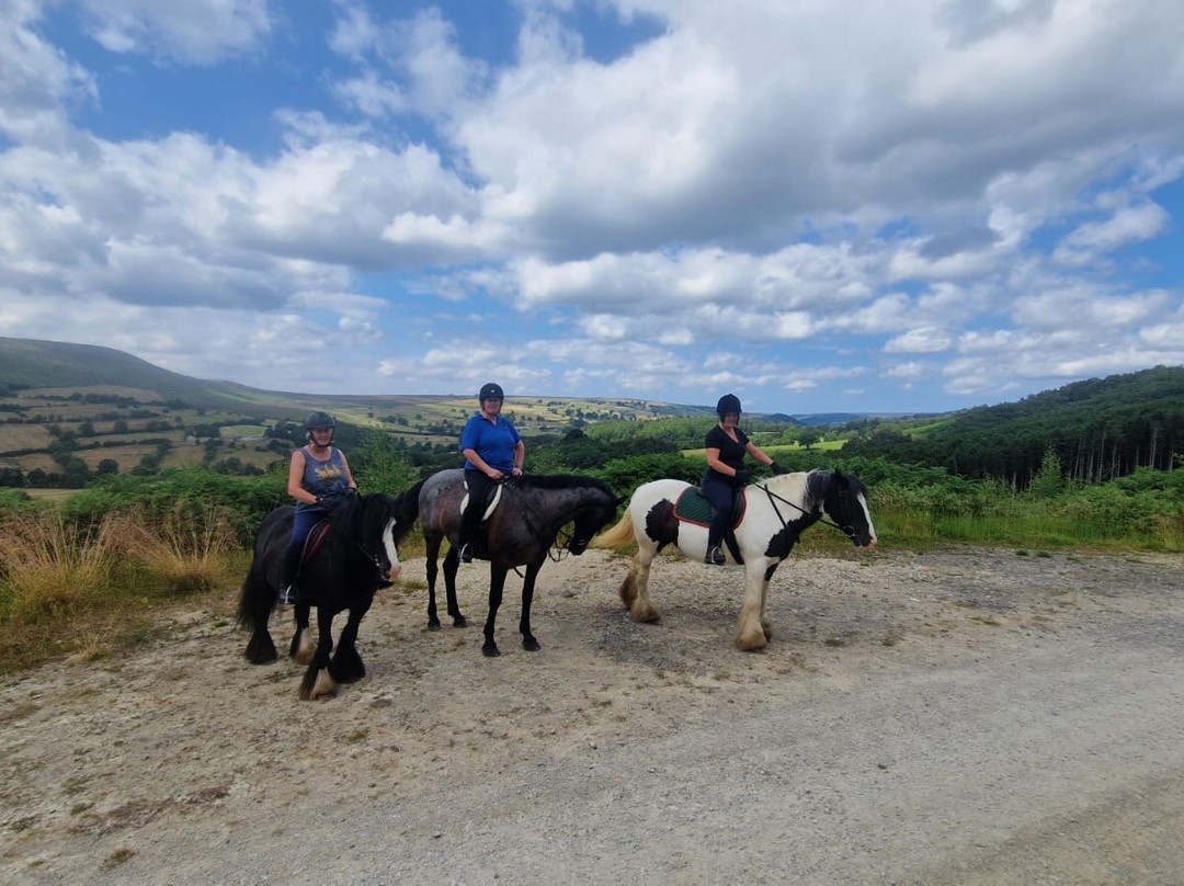 Bilsdale Riding Centre-Hawnby必去景点