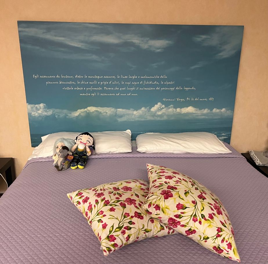 马尔诺斯特佩提特酒店-旅行者