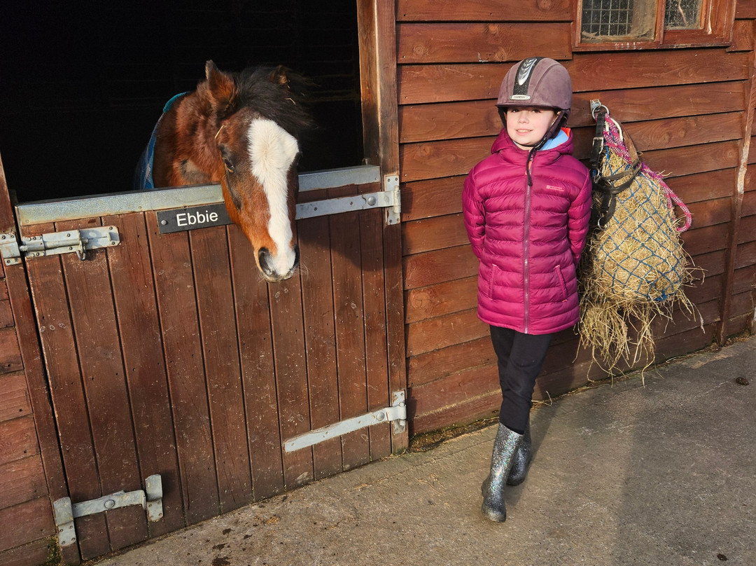 Parkers Riding School-Cockermouth必去景点