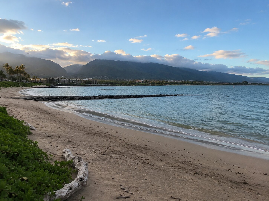 Hoaloha Park