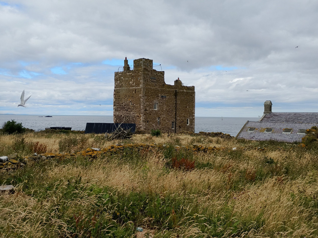 Serenity Farne Island Boat Tours-Seahouses必去景点
