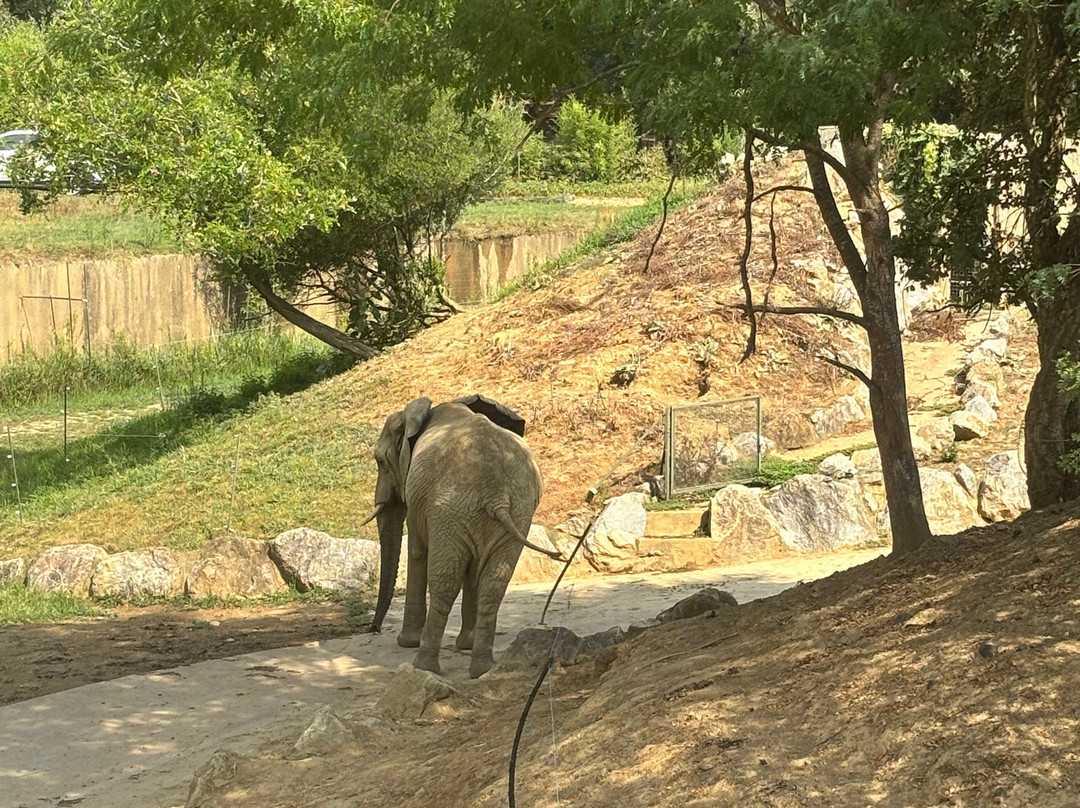 Zoo African Safari-Plaisance-du-Touch必去景点