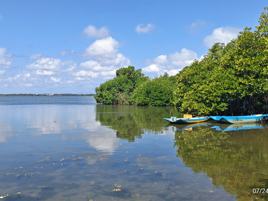 尼科泻湖酒店主图