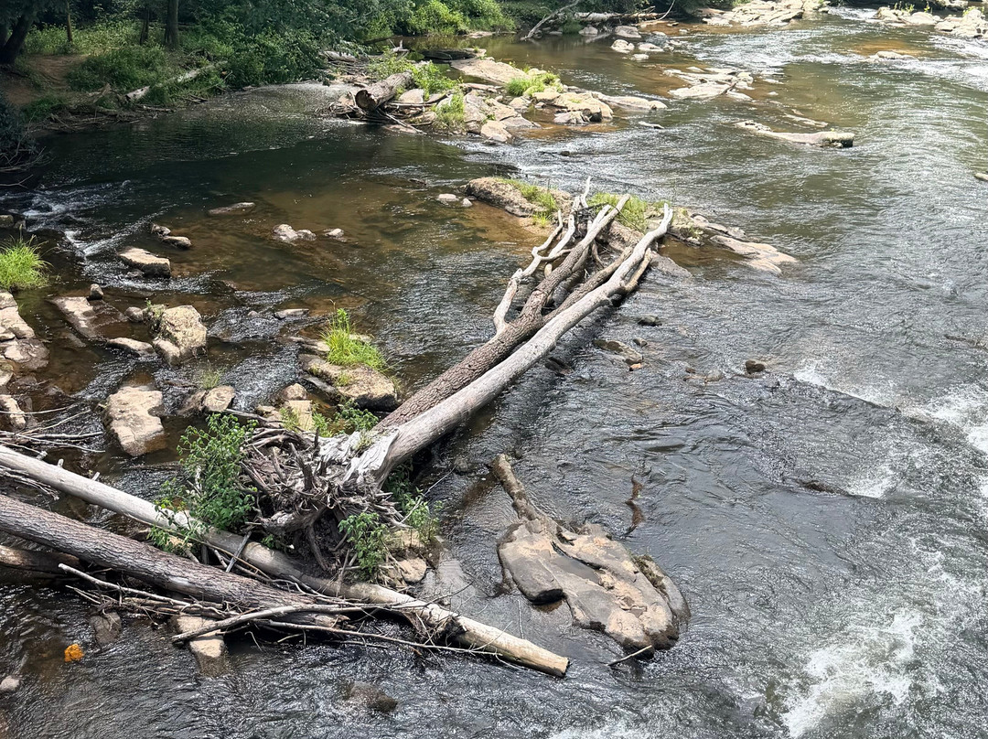 Swinging Bridge on the Toccoa River-蓝岭必去景点