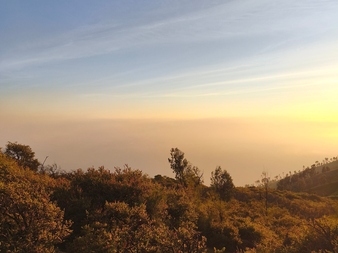 Ijen Blueflame Tour - Day Tours-巴纽旺宣必去景点