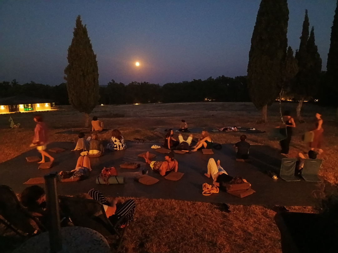 Osho Miasto
