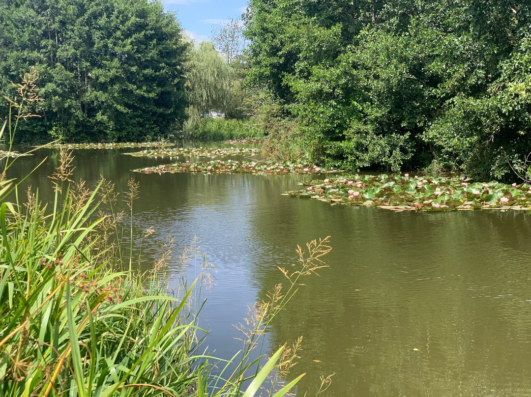 Docklow Pools-Docklow必去景点