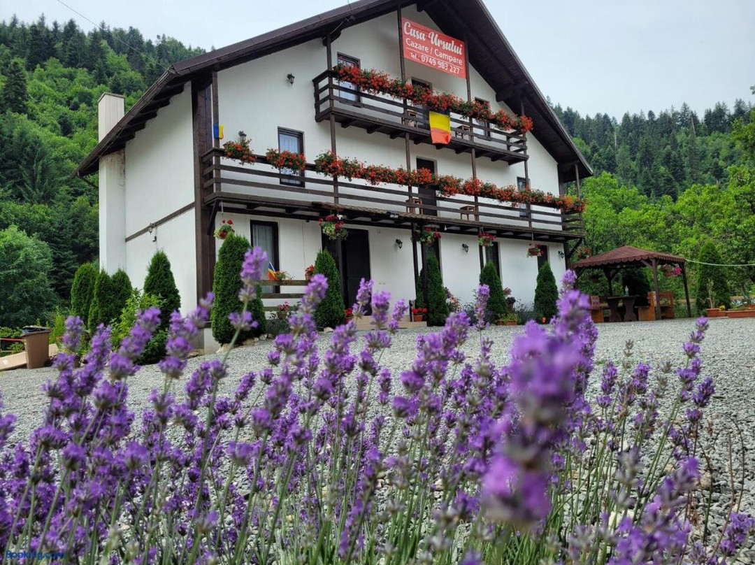 Casa Ursului