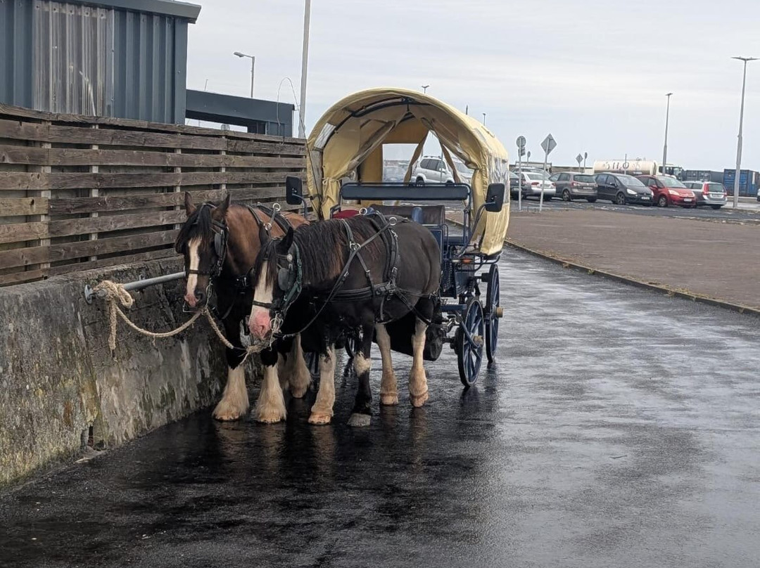 Thomas Faherty Tours-Inishmore必去景点