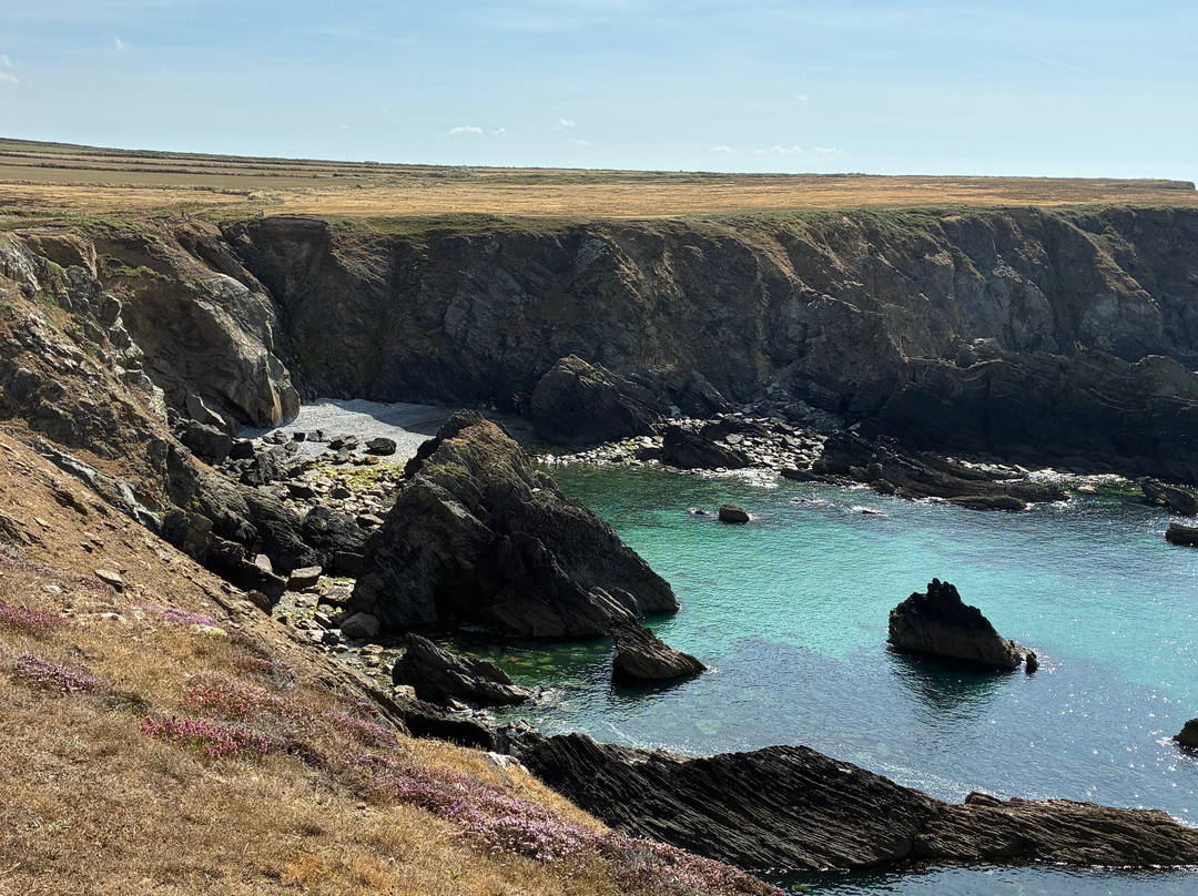 Pembrokeshire Islands Boat Trips-Skomer Island必去景点