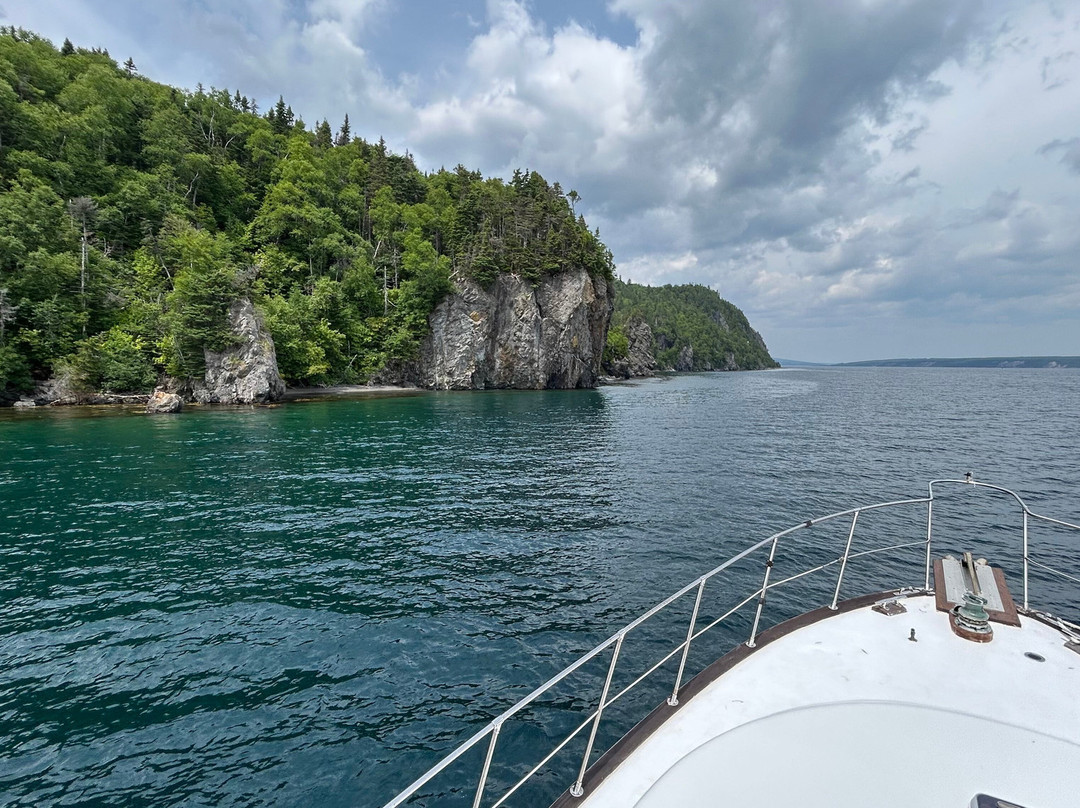Gypsy Sea Adventures-Clarenville必去景点
