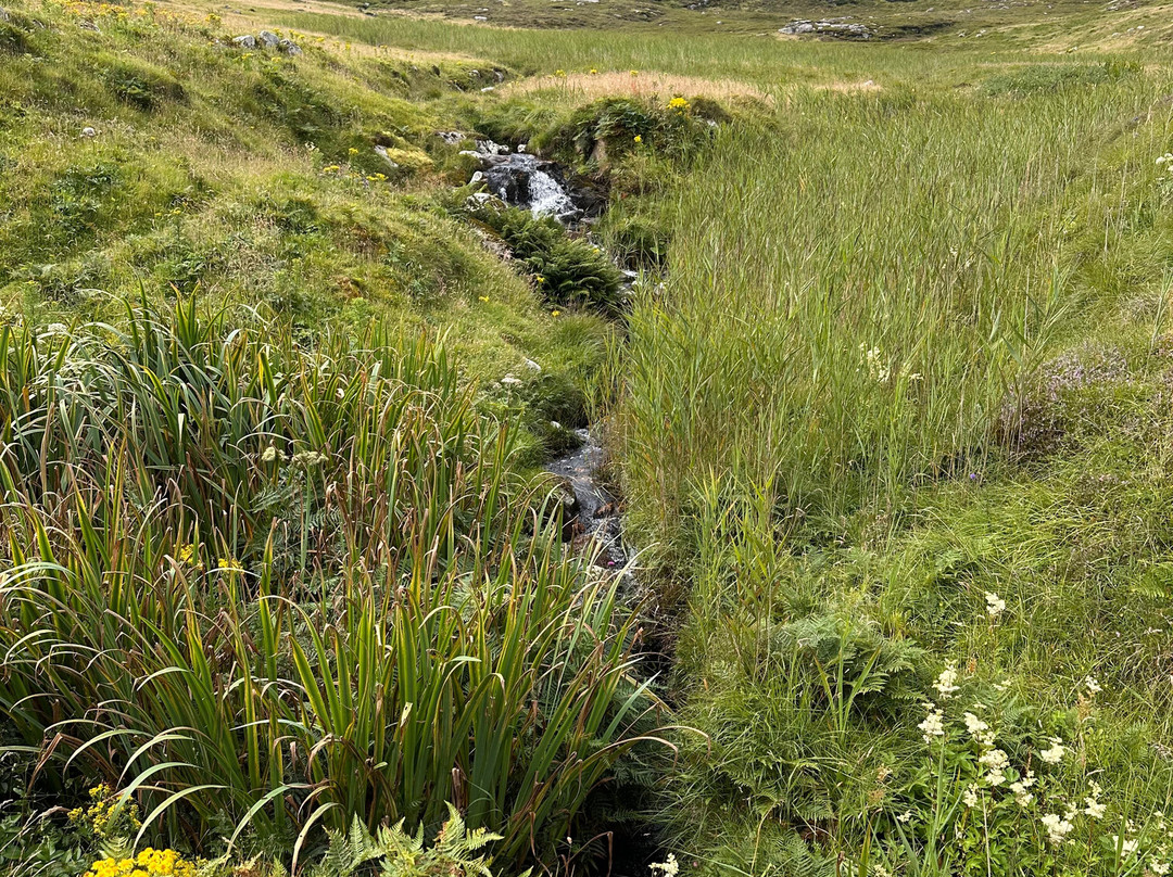 Hebridean Sea Tours-Castlebay必去景点