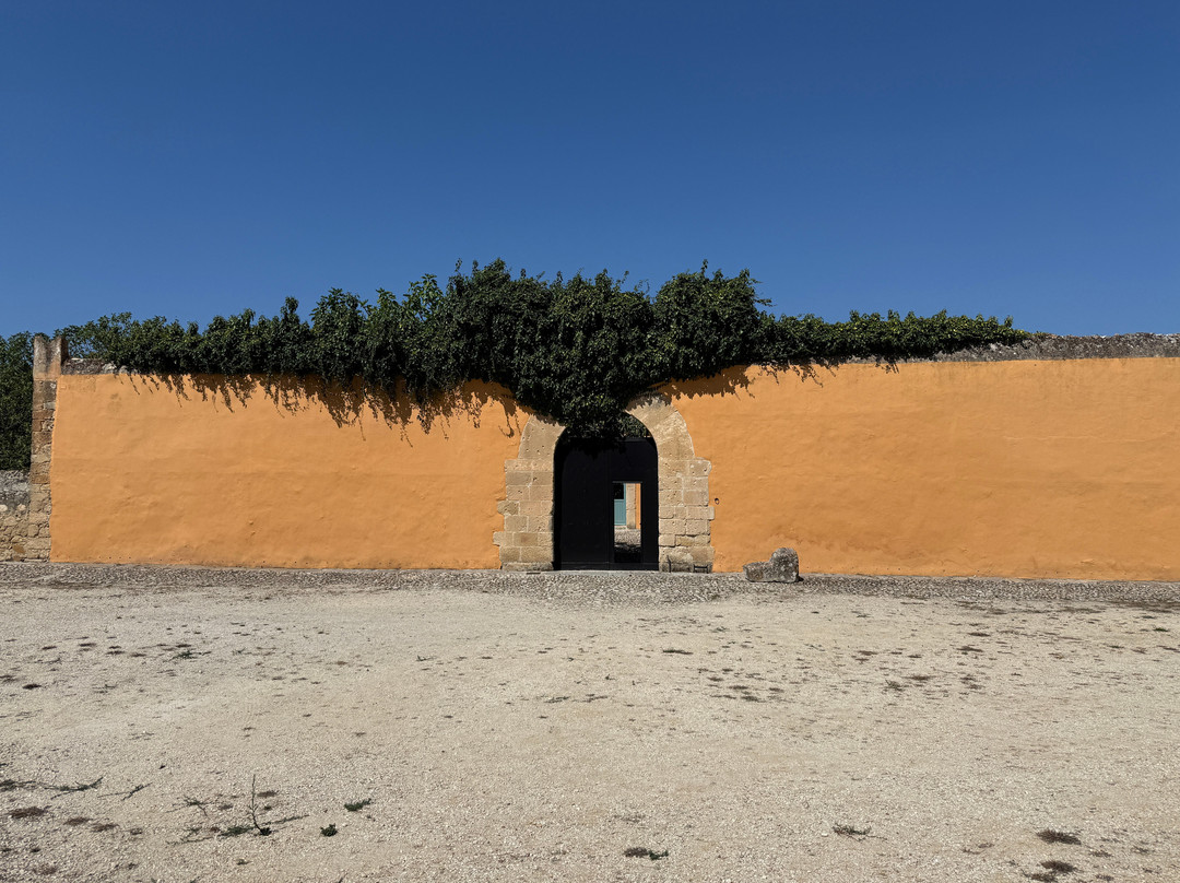 Planeta Winery-Sambuca di Sicilia必去景点