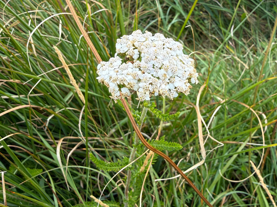 Heart of Burren Walks-Carran必去景点