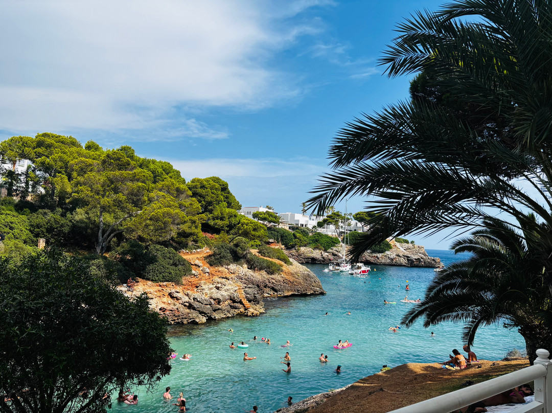 AluaSoul Mallorca Resort - Adults Only主图