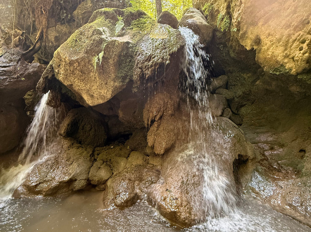 Acqua Trekking-Viggianello必去景点