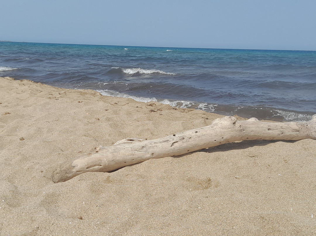 Spiaggia di Is Arenas-Narbolia必去景点