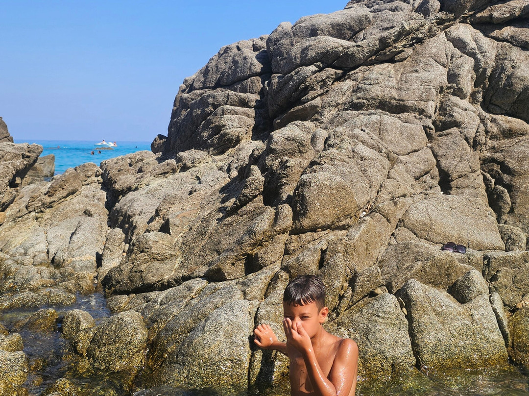 Spiaggia Paradiso del sub-Zambrone必去景点