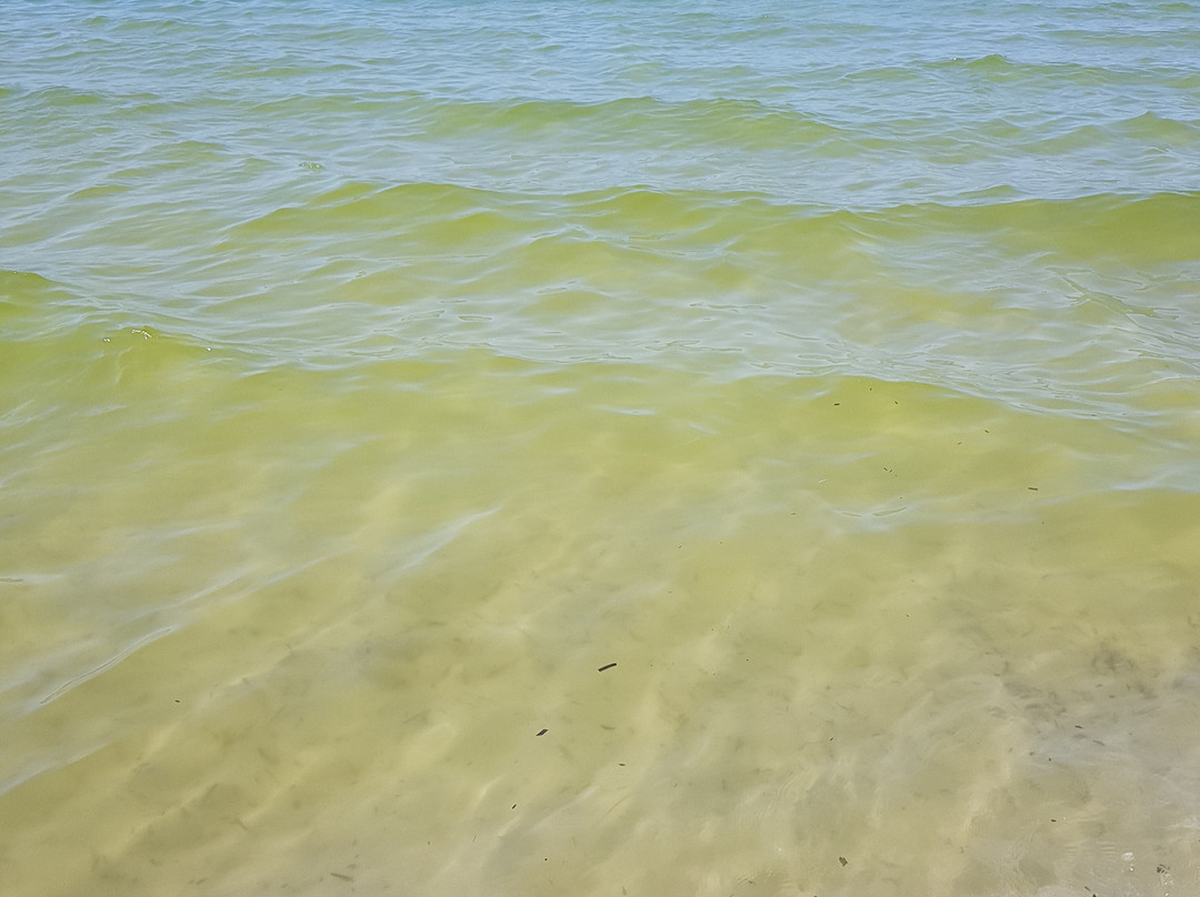 Spiaggia Is Arenas Biancas-Teulada必去景点