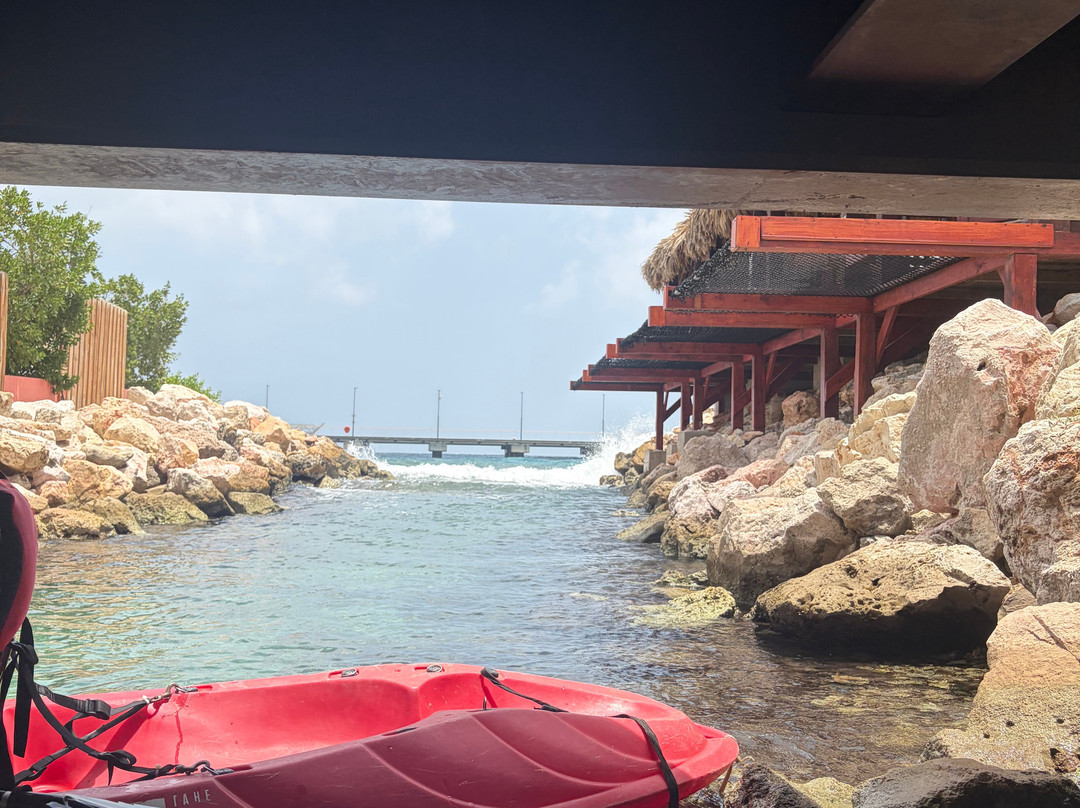 Curaçao Rif Mangrove Park-威廉斯塔德必去景点