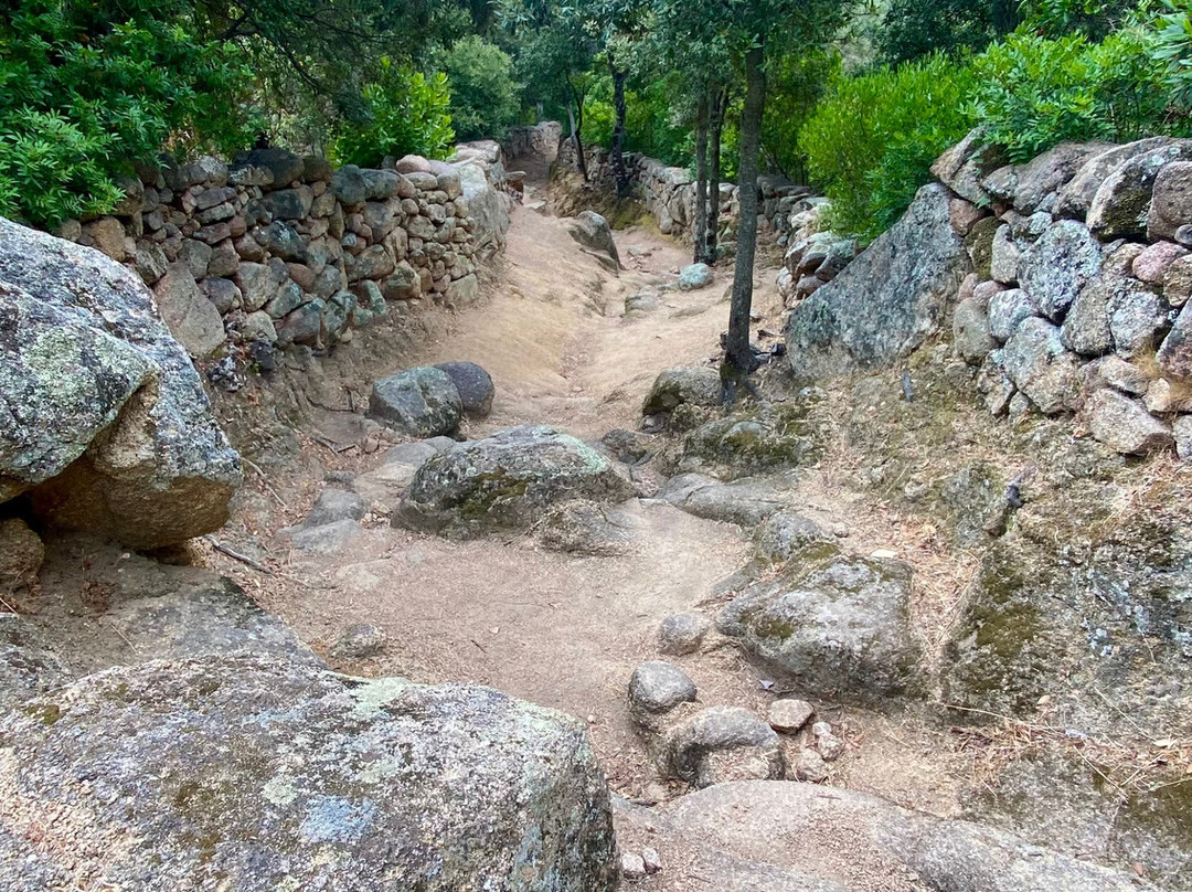 Sentier du Patrimoine-Monacia-d'Aullene必去景点