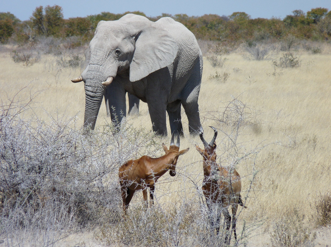 Namibia Tours & Safaris-斯瓦科普蒙德必去景点
