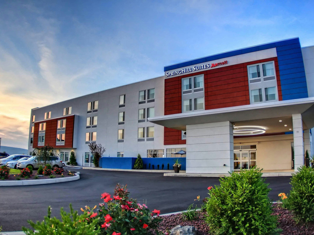 Avoca酒店住宿-SpringHill Suites by Marriott Scranton Montage Mountain