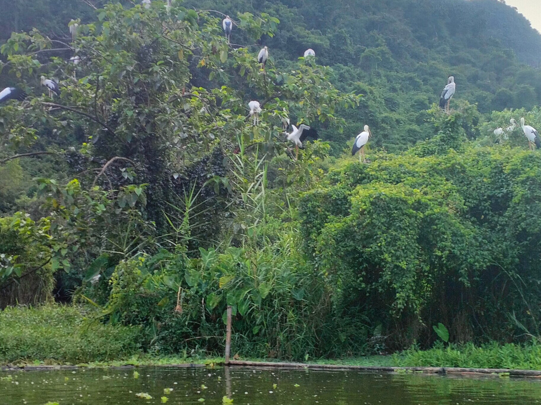 Thung Nham Ecotourism Zone - Ninh Binh-Ninh Hai必去景点