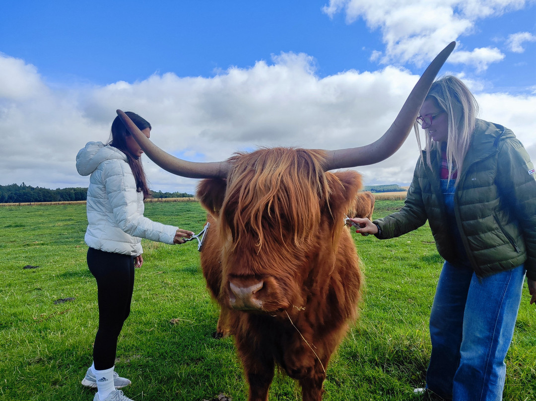 Newton Farm Holidays & Tours主图