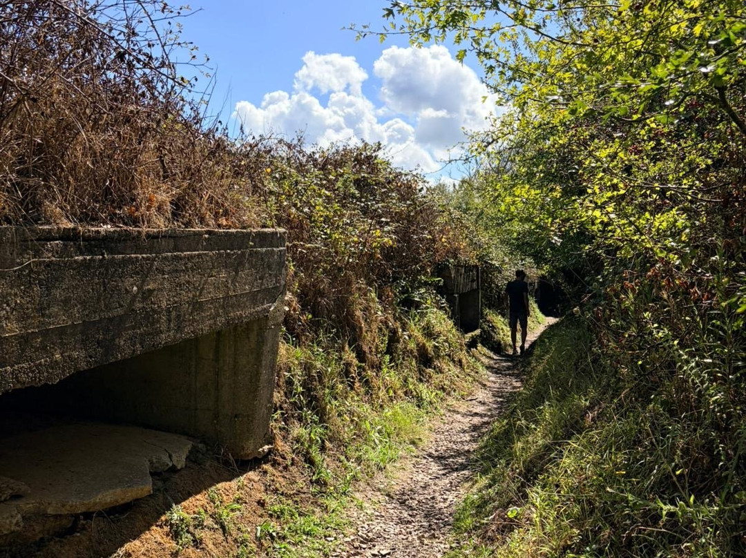 Maisy Battery-Grandcamp-Maisy必去景点