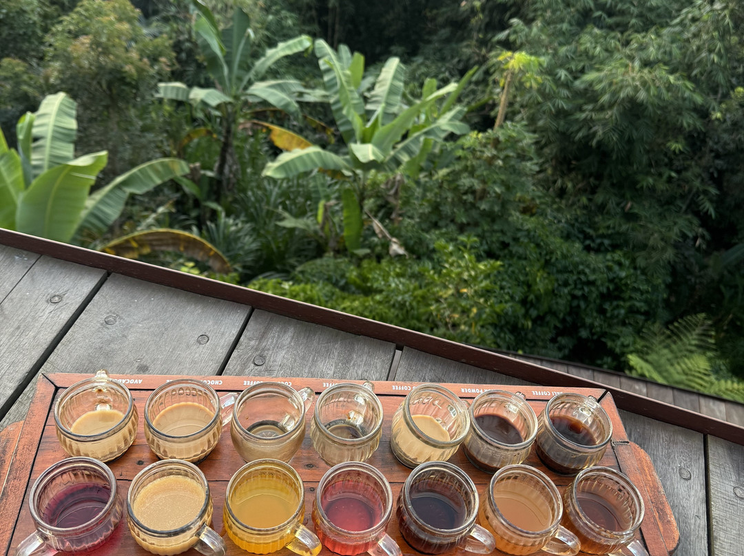 Pemulan Bali Coffee Plantation-Manukaya必去景点
