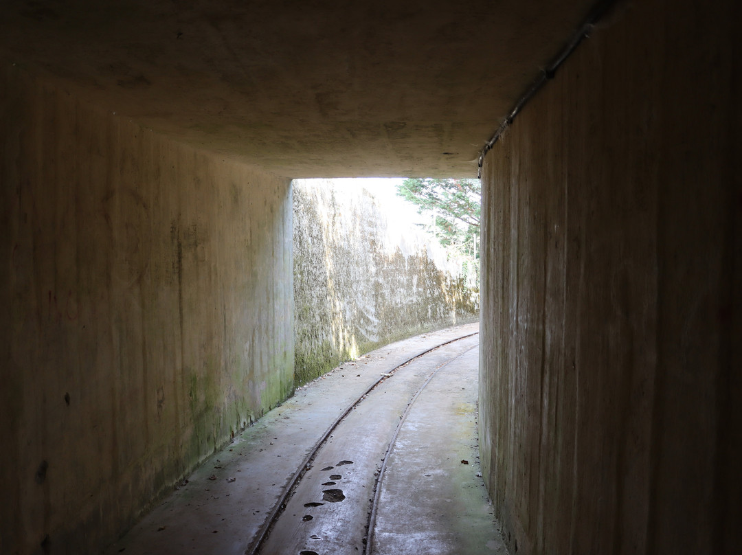 Tours Of Guernsey-St Peter Port必去景点