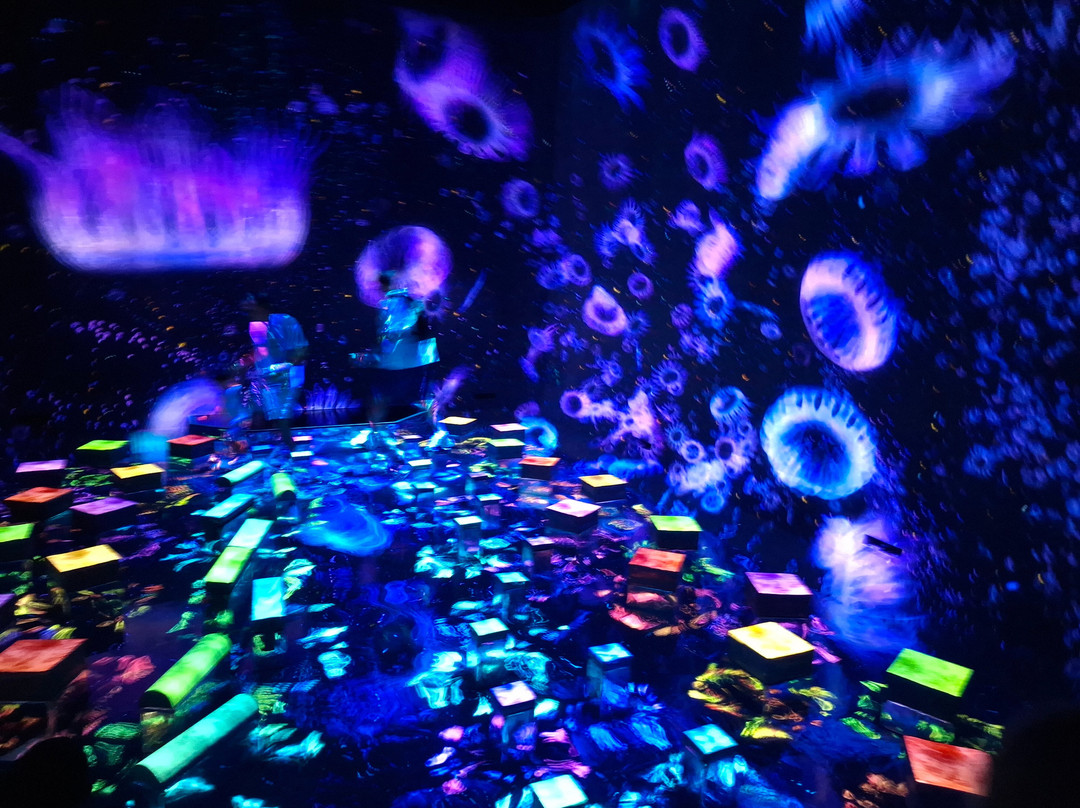 teamLab Planets TOKYO-Toyosu必去景点