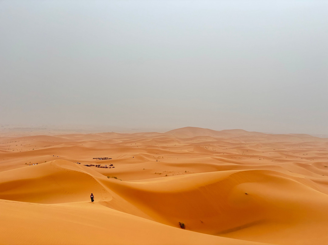 Loud Sahara Day Tours-扎古拉必去景点