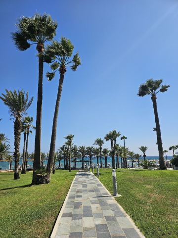 金湾海滩酒店-旅行者