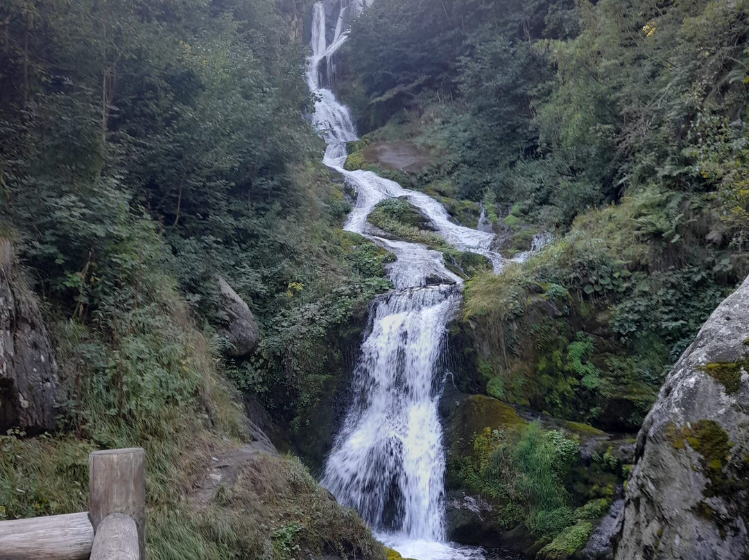 Pian delle Gorre - parco del Pesio-Chiusa di Pesio必去景点