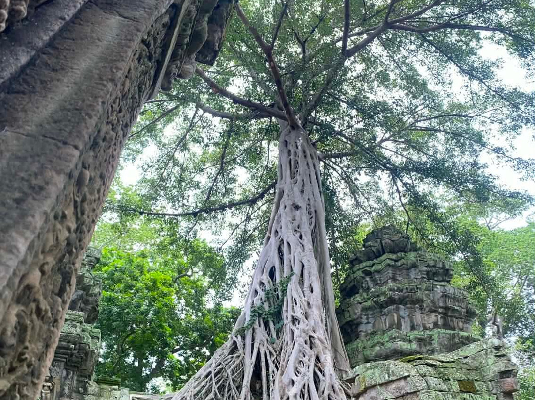 Angkor TukTuk  Taxi-暹粒必去景点